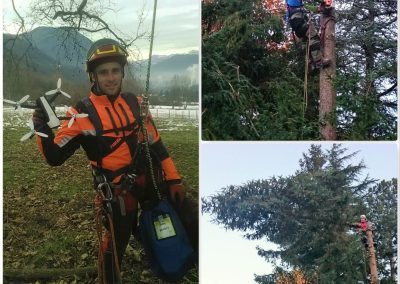 Sauvetage de drône et démontage d'arbres