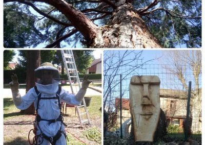 Taille bois mort, intervention essain, sculpture sur bois